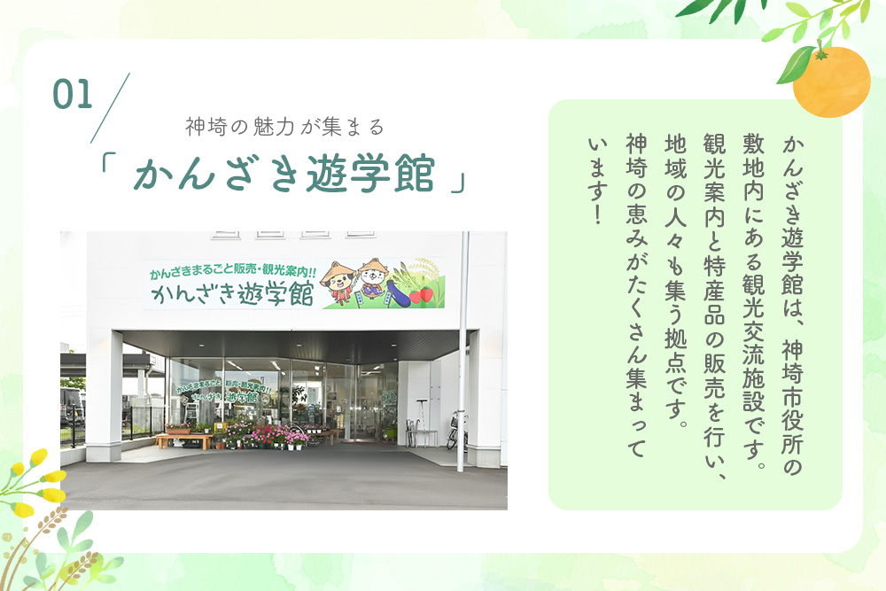 せふり柚子胡椒味くらべ2本セット【せふり 柚子胡椒 味比べ セット】(H059122)