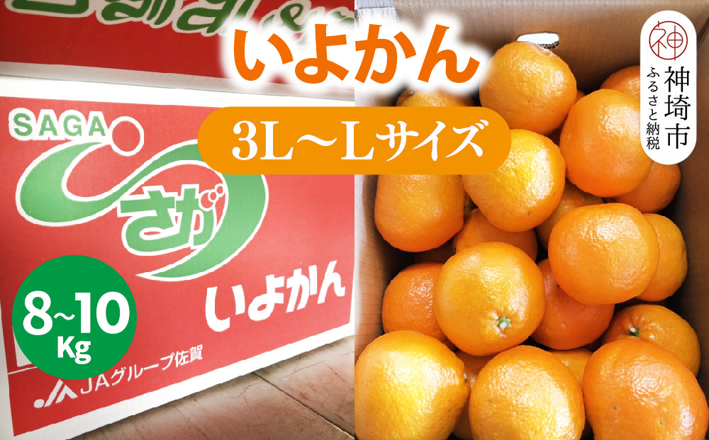 【2026年1月上旬より発送開始】いよかん 8～10kg(3L～Lサイズ)【みかん 柑橘 フルーツ デザート】(H116141)