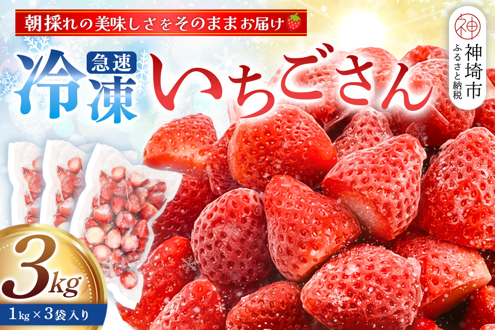 冷凍いちご 3kg（いちごさん)【佐賀県産 ブランド 冷凍いちご フレッシュ 冷凍フルーツ スムージー デザート お菓子作り シャーベット 甘い みずみずしい 無添加】(H126103)