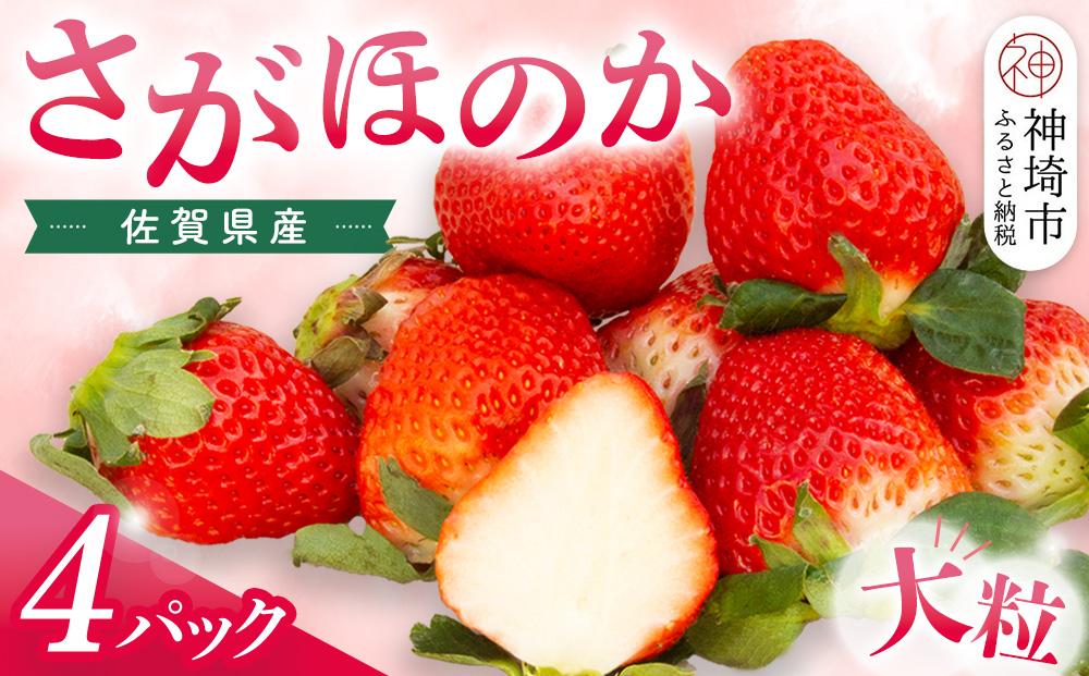 佐賀県産『さがほのか』4Pセット【いちご 苺 イチゴ 大粒 果物 フルーツ デザート ふるさと納税】(H108103)