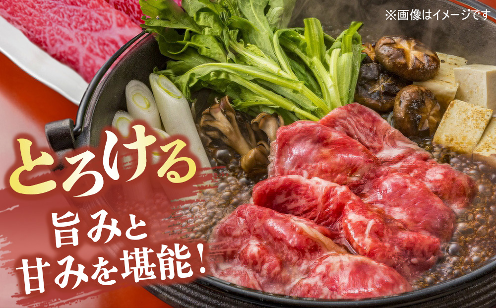 佐賀牛 サーロインステーキ200g×1枚計200g すきやき用切落250g×2パック計500g【佐賀牛 サーロイン ステーキ すきやき 切落し 高級部位 赤身肉 霜降り 小分け】(H122126)