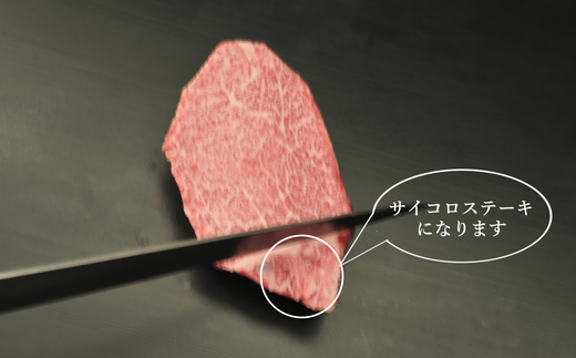 【訳あり】佐賀牛ヒレ・不揃いサイコロステーキ 600g 【訳あり 牛肉 牛 佐賀牛 不揃い ヒレ 切り落とし 600g】(H065121)