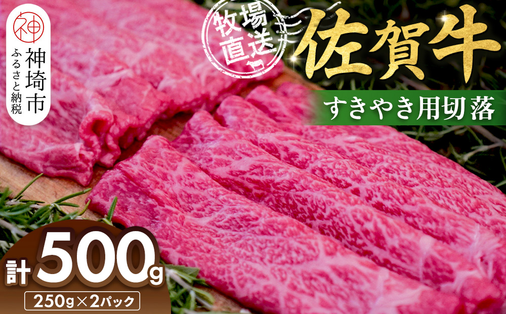 佐賀牛 すきやき用切落250g×2パック計500g【佐賀牛 すき焼き用 切り落とし 牧場直送 小分け】(H122140)