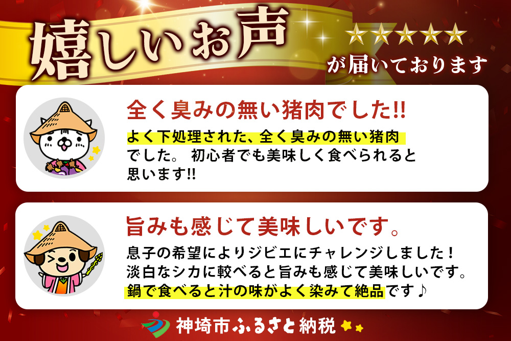 脊振ジビエ 詰め合わせ イノシシ肉約600g＆柚子胡椒2本セット 【ジビエ イノシシ肉 ロース バラ カレー 鍋 詰め合わせ】(H059121)