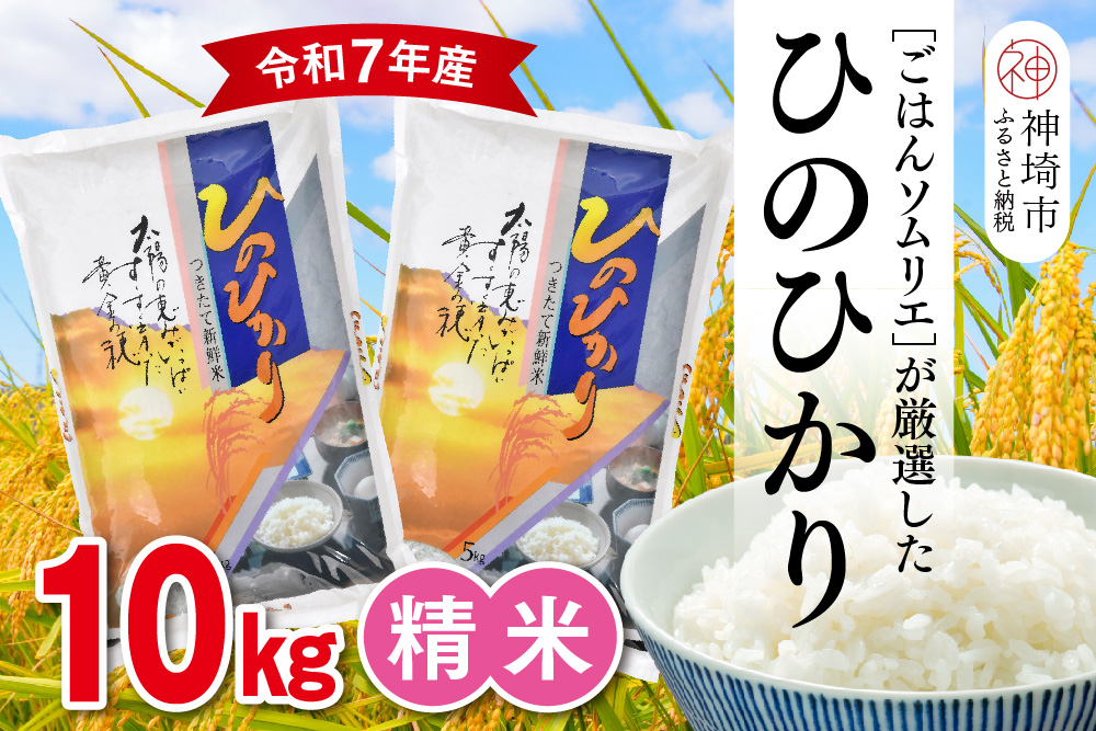 【令和7年産】ごはんソムリエが厳選 白米 ひのひかり 10kg【神埼市産 米 お米 精米 白米 10kg 5kg×2 ひのひかり ブランド米 食味鑑定士】(H063151)