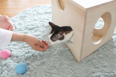 TRM021 たべられないチーズ ビッグ(H060432)