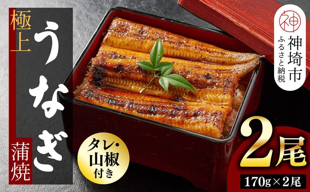 【職人手焼き】国産特大うなぎ蒲焼2尾（1尾あたり約170g前後）【国産 特大 うなぎ 鰻 ウナギ ふっくら 柔らか 鰻重 きざみ鰻 うなぎのせいろ蒸 タレ付 弁当】(H097113)
