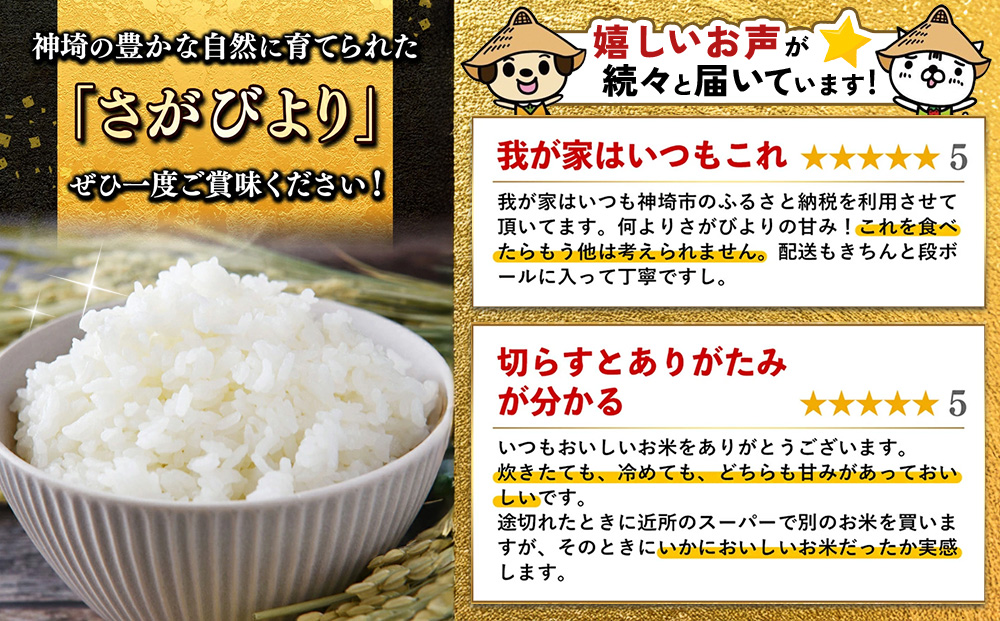 【令和7年産 新米】さがびより 精米 5kg【特A受賞米 米 5kg お米 コメ こめ 国産 美味しい ブランド米 人気 ランキング 増田米穀】(H015199)