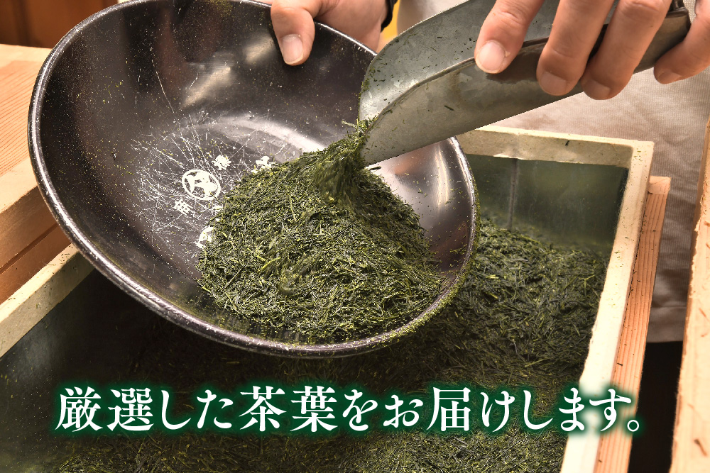 【毎月お届け12回】特上煎茶八重100g2本と季節の茶100g1本(急須付き) 【定期便 九州 お茶 緑茶 急須 フィルターインボトル 定期便】(H047113)