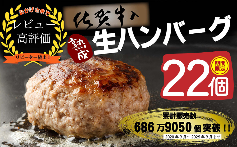 【14日以内発送！期間限定】佐賀牛入り ハンバーグ 22個 2.6kg(120g×22個)【佐賀牛 黒毛和牛 ブランド牛 九州 ハンバーグ 牛肉 豚肉 国産 お弁当 おかず 惣菜 おすすめ 人気】(H083105)