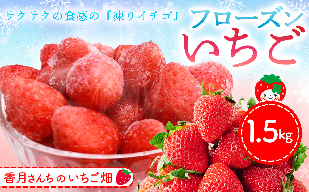 フローズンいちご1.5㎏【フルーツ フローズン ジャム スムージー 冷凍 解凍 練乳 牛乳 砂糖】(H017122)