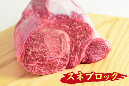 佐賀牛 すね肉 ブロック 1,000g 【煮込み料理 A5 A4 希少 国産和牛 牛肉 肉 牛】(H085157)