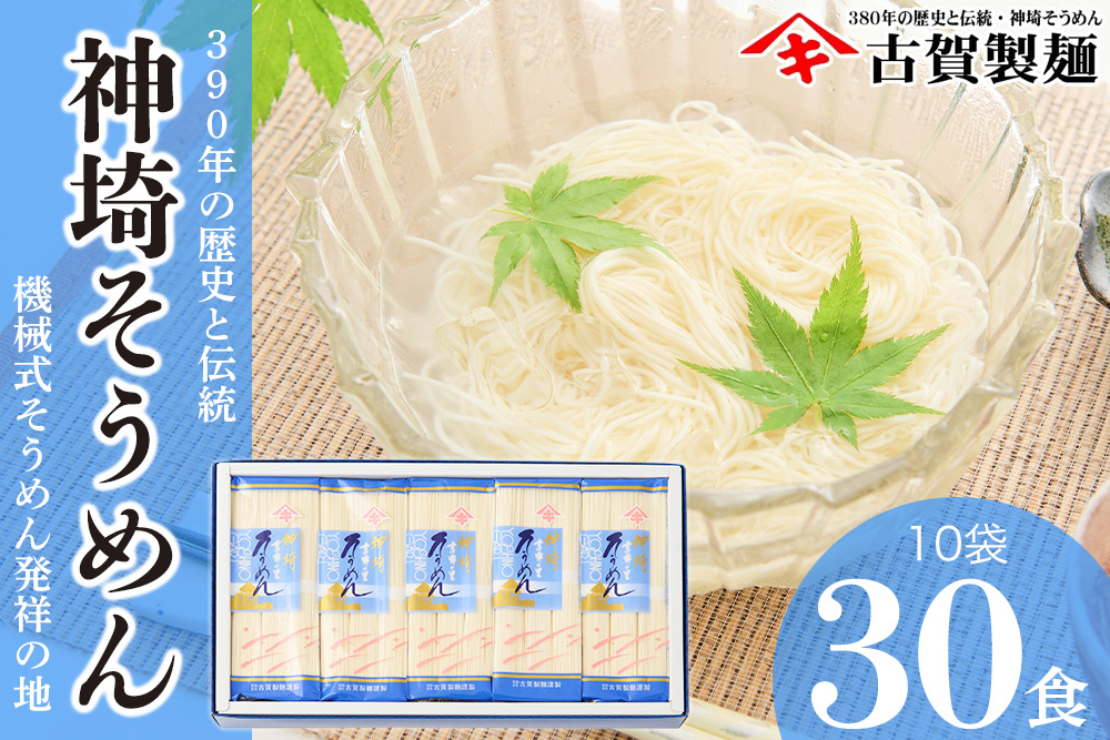 佐賀県特産品 神埼そうめん 10入 【そうめん 乾麺 神埼そうめん 特産品  御中元 夏 自家用】(H014144)