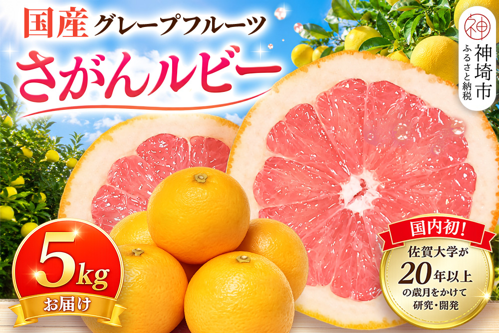 【2027年3月中旬より発送開始】さがんルビー 5kg(グレープフルーツ)【柑橘 フルーツ デザート ジューシー リフレッシュ】(H116149)