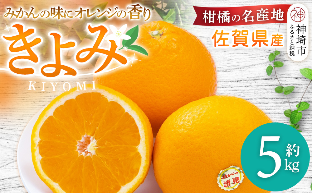 【令和7年3月より発送】佐賀県産柑橘『清見』約5000g【フルーツ 果物 みかん オレンジ 柑橘 デザート ふるさと納税】(H108110)