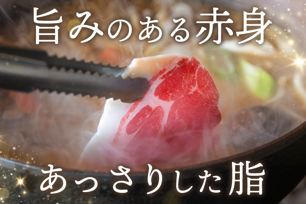 脊振ジビエ イノシシ肉スライスセット ロース＆バラ 約600g【脊振 ジビエ イノシシ肉 ロース バラ】(H059119)