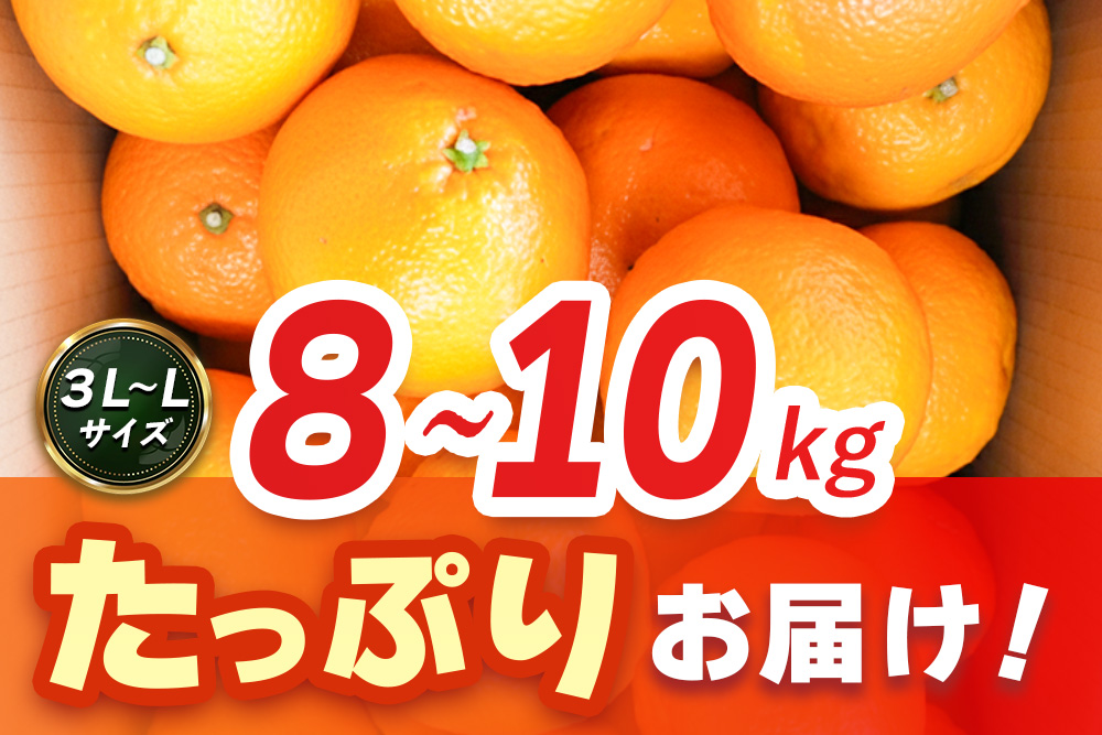 【2027年1月中旬より発送開始】いよかん 8〜10kg(3L〜Lサイズ)【みかん 柑橘 フルーツ デザート】(H116141)
