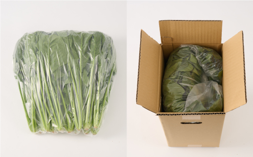 ほうれん草 2kg バラ詰め（大きな袋に2kg）【ハウス栽培 産地直送 クール便 佐賀県脊振山麓産】(H091117)