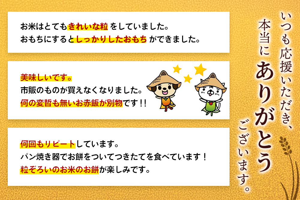 令和7年産 佐賀県産ひよくもち米5kg【もち米 餅米 ヒヨクモチ 5kg 年末 餅つき 赤飯 おこわ おはぎ 増田米穀】(H015210)