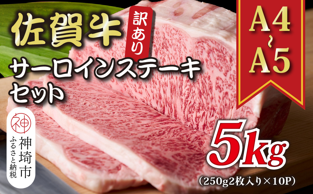 訳あり！【A4～A5】佐賀牛サーロインステーキセット 5kg(250g 2枚入り×10P)【肉 牛肉 ブランド牛 黒毛和牛 ふるさと納税】(H112130)