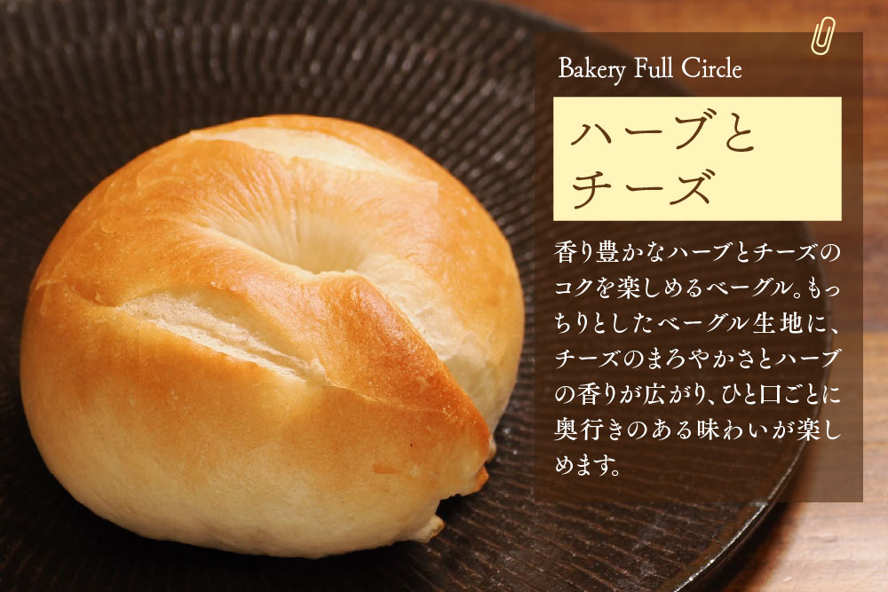焼きたて直送便 ベーグル10種詰め合わせ【瞬間冷凍 卵不使用 砂糖不使用 油不使用 無添加 低温発酵 ケトリング もちもち おやつ】(H111118)