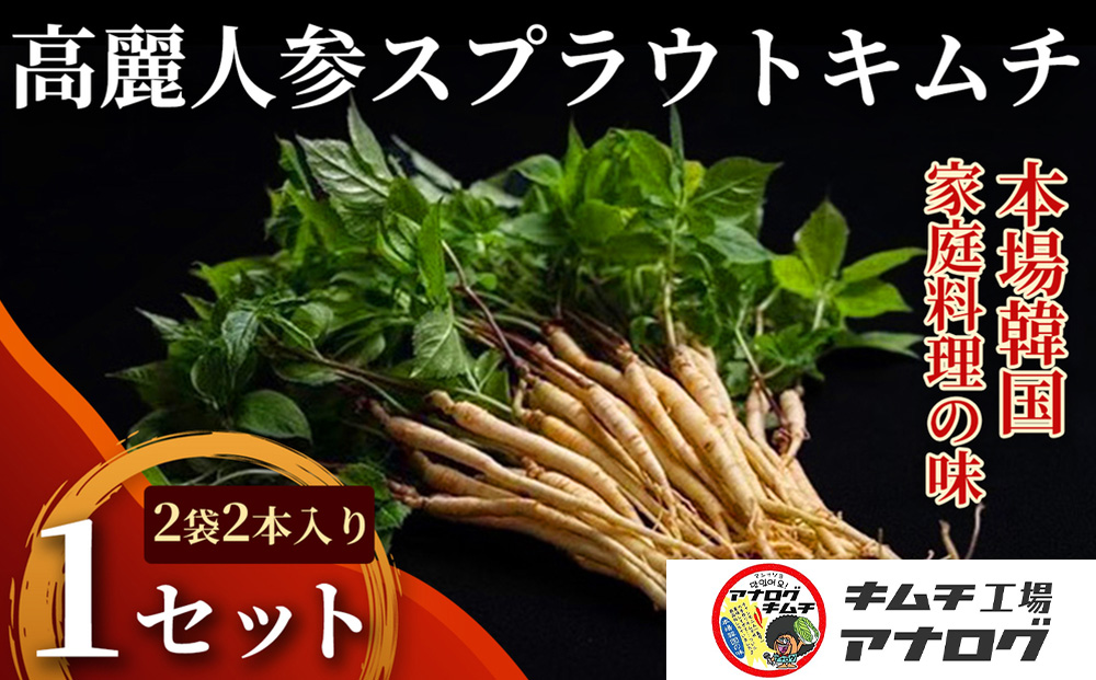 熟成秘伝の高麗人参スプラウトキムチ(1本入り×2袋)【エナキム 健美キムチ 健康志向 熟成キムチ ご飯のお供 発酵食品 手作り 辛味控えめ 国産素材】(H104186)