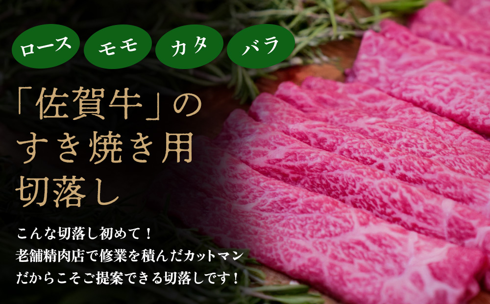 佐賀牛 サーロインステーキ200g×1枚計200g すきやき用切落250g×2パック計500g【佐賀牛 サーロイン ステーキ すきやき 切落し 高級部位 赤身肉 霜降り 小分け】(H122126)