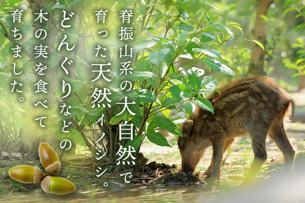 脊振ジビエ イノシシ肉バラエティセット 約1.4kg【脊振 ロース ばら 肩ロース ミンチ カレー 鍋 セット】(H059118)