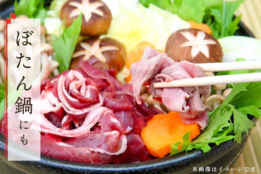 脊振ジビエ イノシシ肉スライスセット ロース＆バラ 約600g【脊振 ジビエ イノシシ肉 ロース バラ】(H059119)