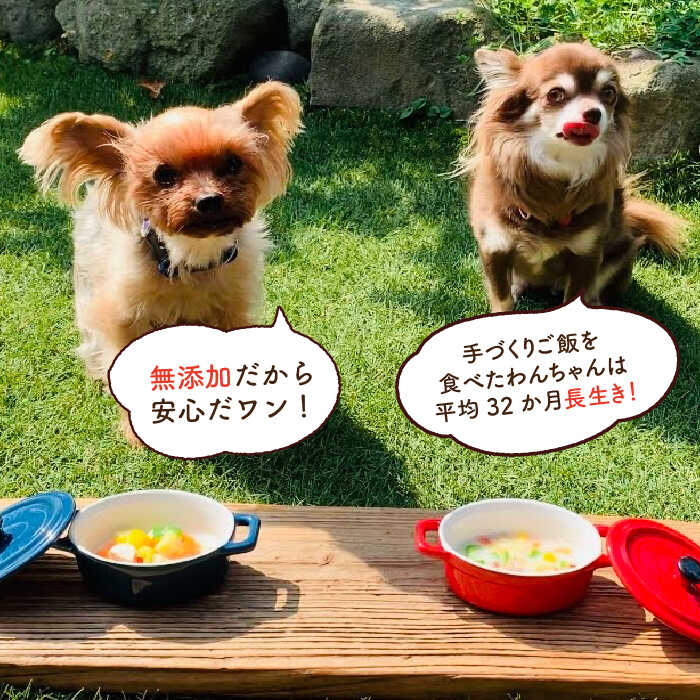 【定期便12回】犬の無添加ごはん☆具だくさんカレー＆クリームシチュー＆ミネストローネ☆スモークソーセージ入り（各2袋・全6袋）【わんこin食堂】 [FCG039]