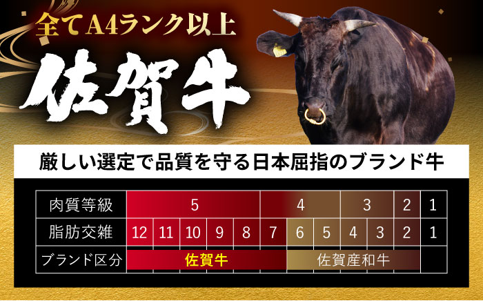 ＜国内トップクラスの黒毛和牛＞ A4 A5 佐賀牛切り落とし500g【ミートフーズ華松】 [FAY056]