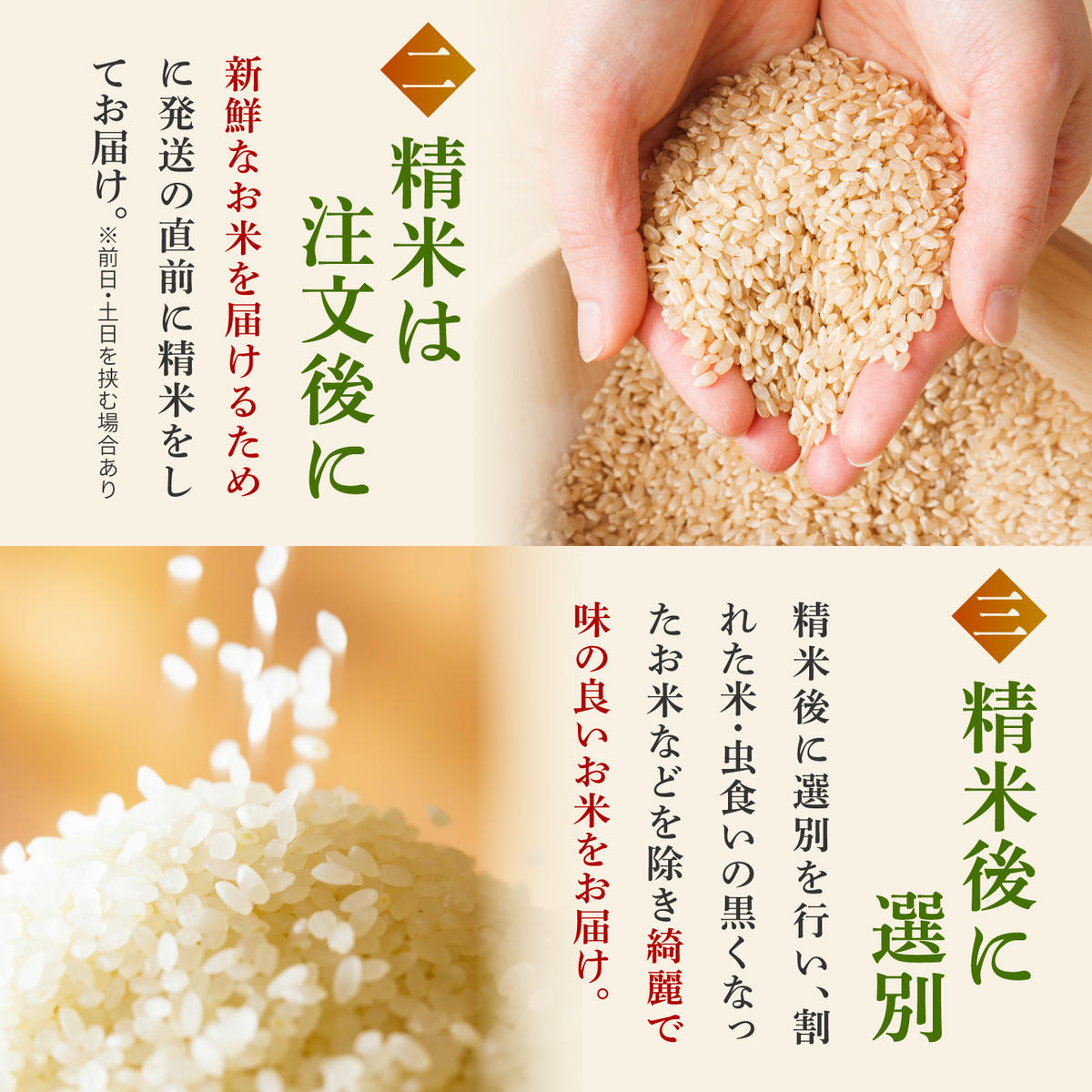 【5kg✕6回定期便】【令和7年産】さがびより 計30kg（5kg✕6回）吉野ヶ里町/増田米穀  [FBM003]