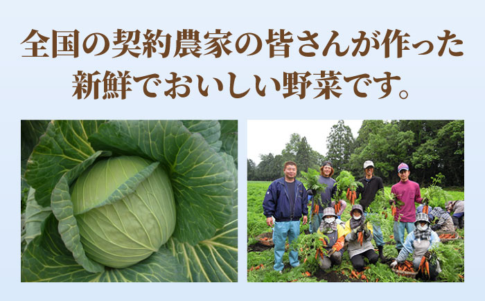 【スピード発送！】リンガーハット 野菜たっぷりちゃんぽん 6食セット 生姜ドレッシング付【人気No.1】＜1日に必要な野菜の2/3が摂れる！＞ |チャンポン 冷凍 国産 ちゃんぽん麺 |吉野ヶ里町/リンガーフーズ [FBI017]