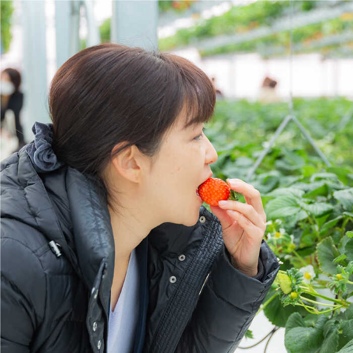 吉野ベリー入場券（1枚） 吉野ヶ里町/吉野麦米 イチゴ狩り ブルーベリー狩り [FCR001]