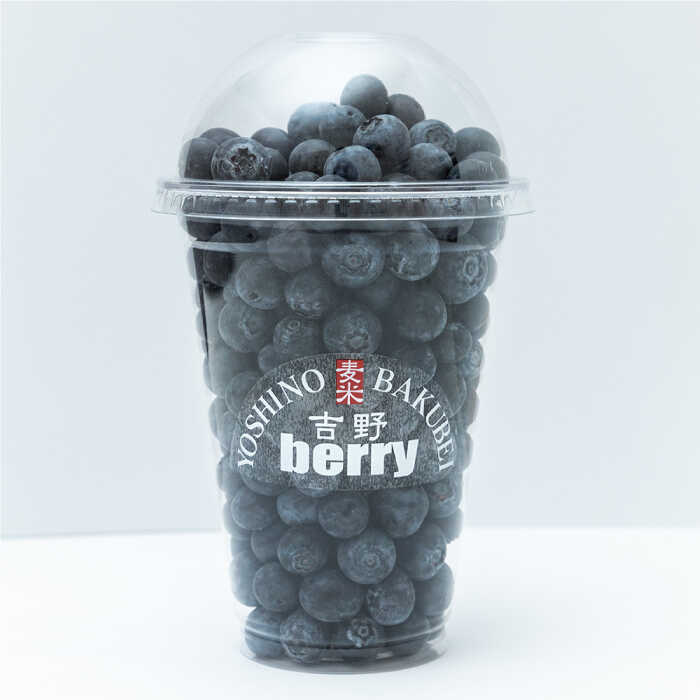 吉野ベリー入場券（1枚） 吉野ヶ里町/吉野麦米 イチゴ狩り ブルーベリー狩り [FCR001]