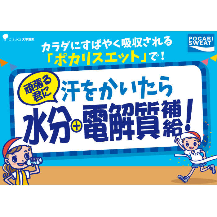 【熱中症対策】＜6回定期便＞ 500ml×24本 900ml×12本セット ポカリスエット 大塚製薬株式会社/吉野ヶ里町 [FBD019]