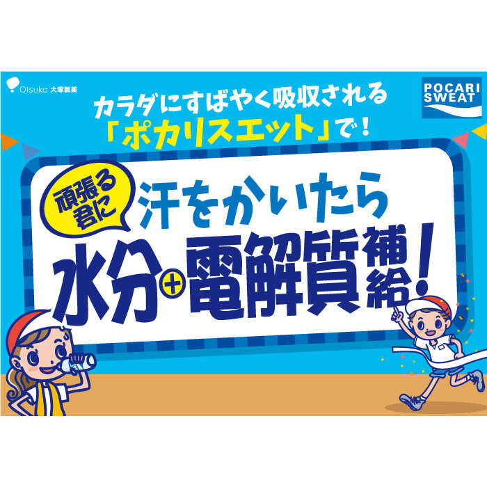 ポカリスエット 500ml×24本 イオンウォーター900ml×12本セット 大塚製薬株式会社/吉野ヶ里町 [FBD021]