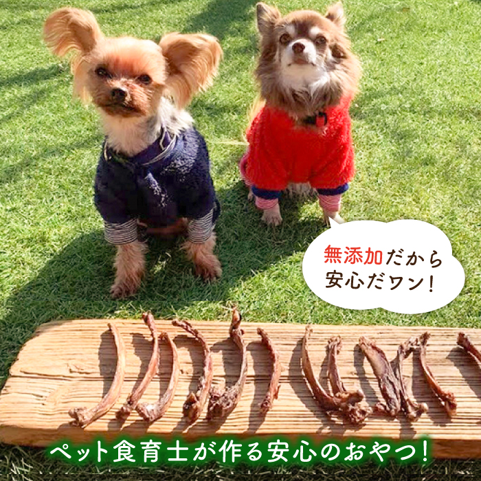 ＜3回定期便＞超小型犬向け☆天然いのししのスモーク骨ガム100g わんこin食堂/吉野ヶ里町 [FCG062]