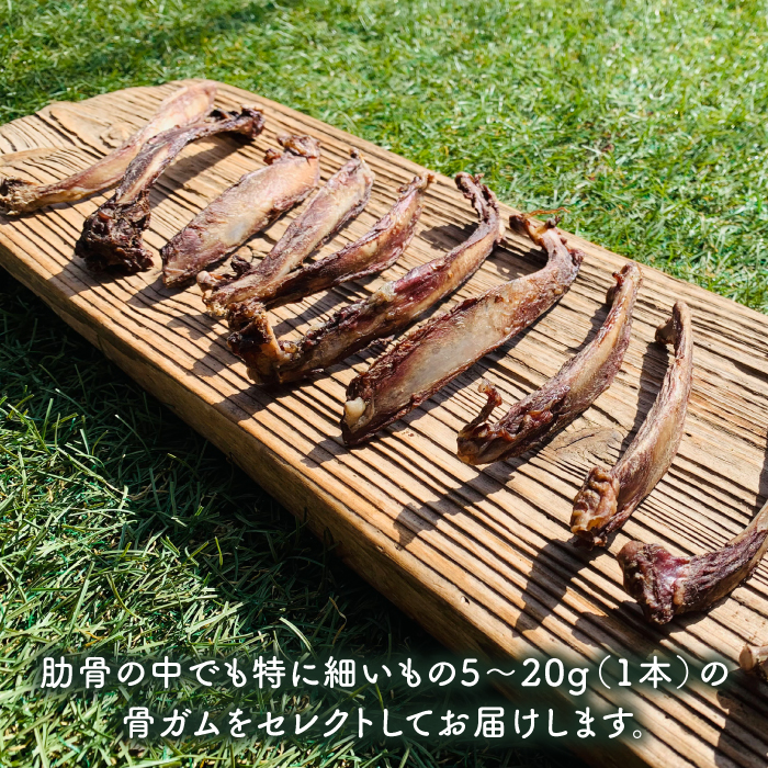 ＜12回定期便＞超小型犬向け☆天然いのししのスモーク骨ガム100g わんこin食堂/吉野ヶ里町 [FCG064]