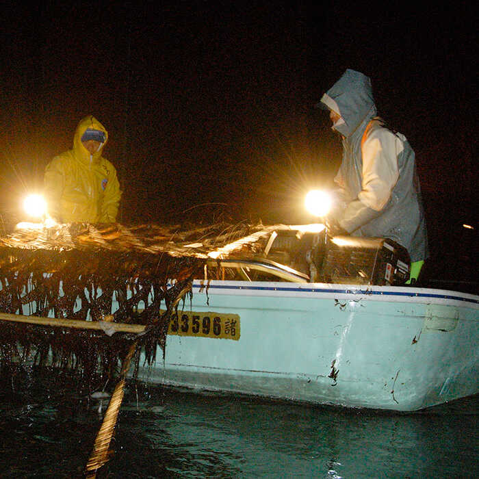 有明海産の海苔使用！焼きのり 8切カット 「小浅謹製焼海苔 金」80枚×4袋 吉野ヶ里町/小浅商事 [FCO010]