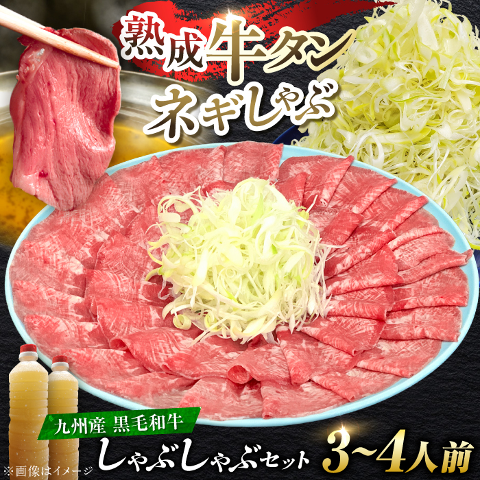 九州産 黒毛和牛 牛タンしゃぶしゃぶセット 500g 吉野ヶ里町/やきとり紋次郎 [FCJ071]