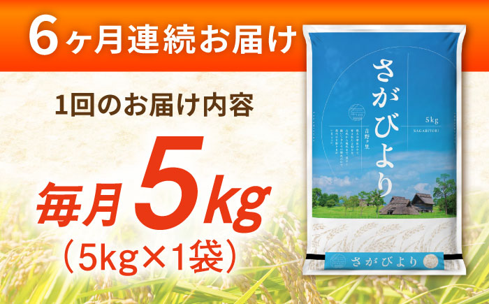 【5kg✕6回定期便】【令和7年産】さがびより 計30kg（5kg✕6回）吉野ヶ里町/増田米穀  [FBM003]