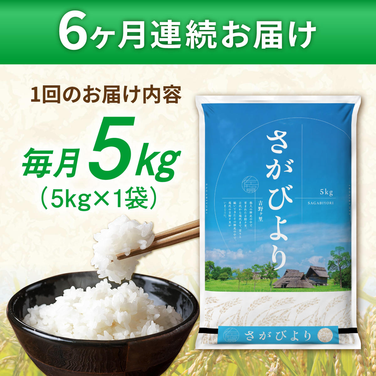 【5kg✕6回定期便】【令和7年産】さがびより 計30kg（5kg✕6回）吉野ヶ里町/増田米穀  [FBM003]