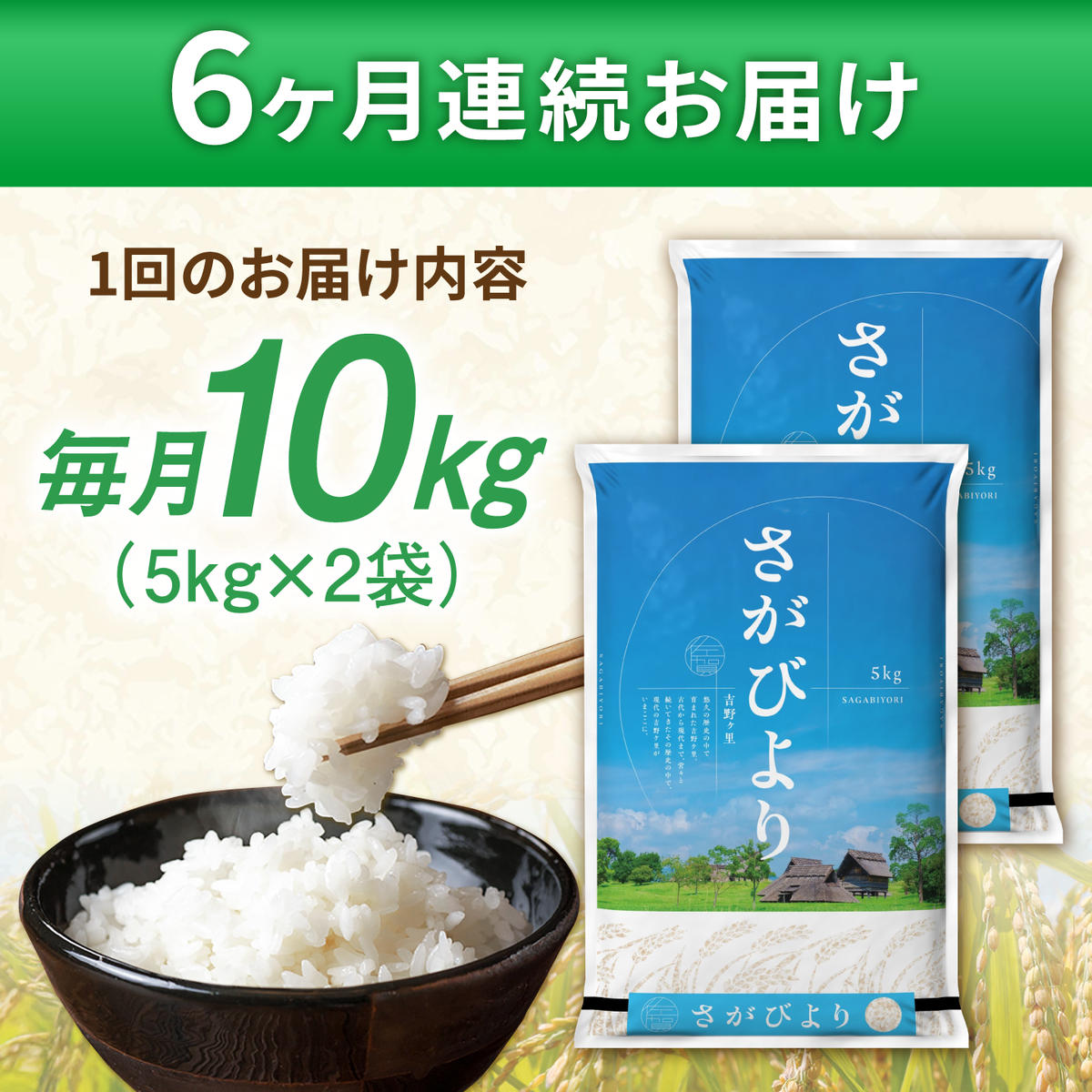 【令和7年産】【全6回定期便】さがびより 計60kg（5kg✕2袋） 吉野ヶ里町/増田米穀 [FBM007]