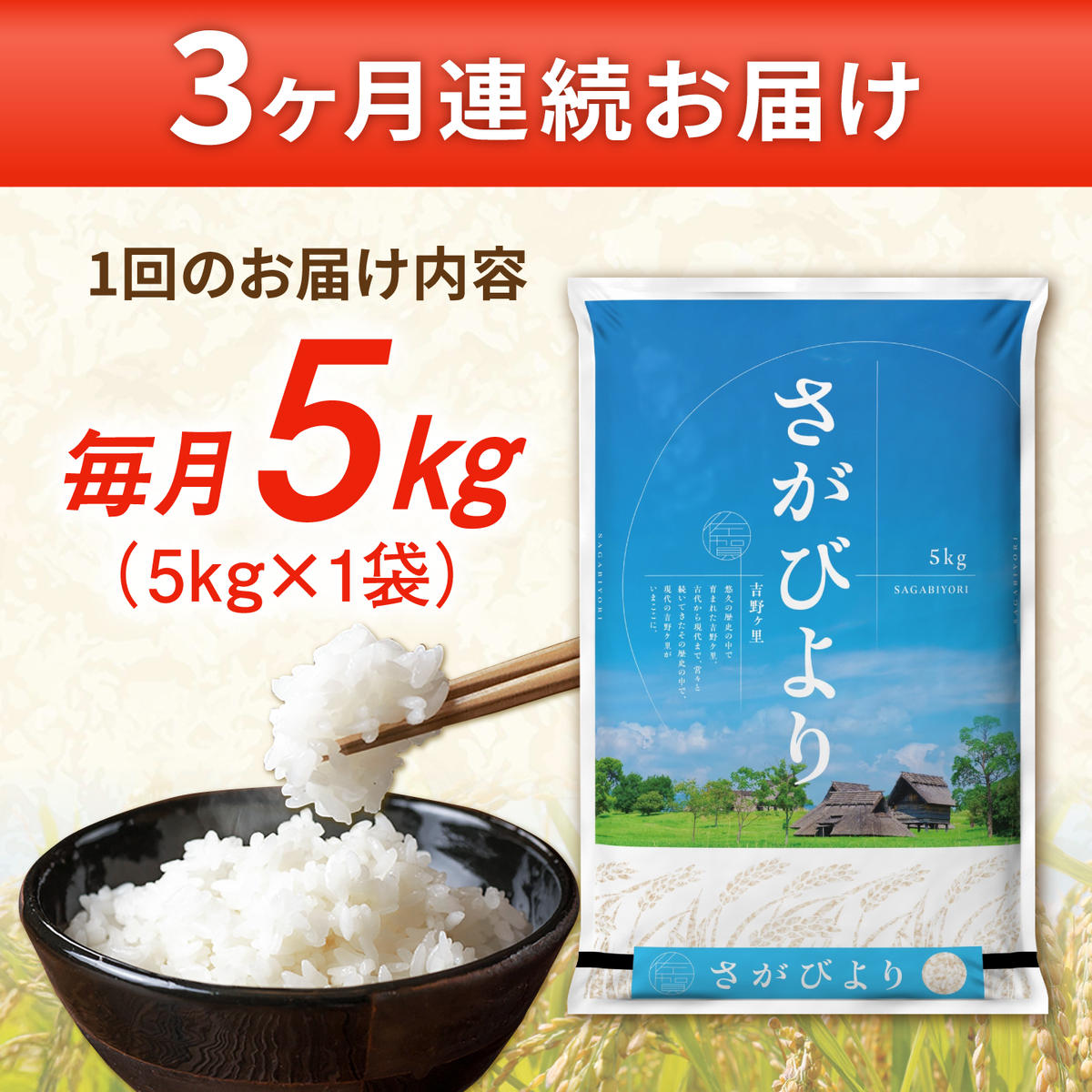 【5kg✕3回定期便】【令和7年産】さがびより 計15kg（5kg✕3回）吉野ヶ里町/増田米穀  [FBM002]