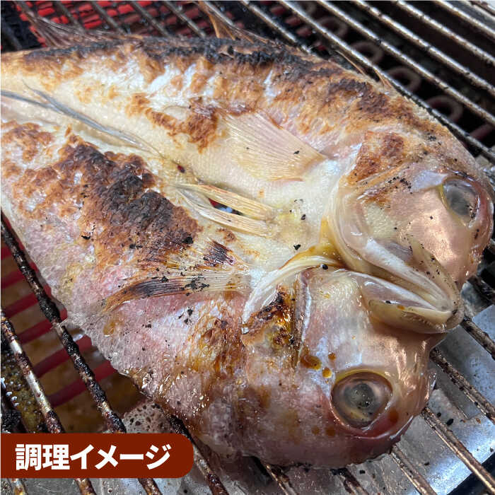 びっくりビッグサイズ！甘鯛一夜干し2尾（1尾あたり約400g） おつまみ 酒の肴 焼き物にぴったり 吉野ヶ里町/やきとり紋次郎 [FCJ075]