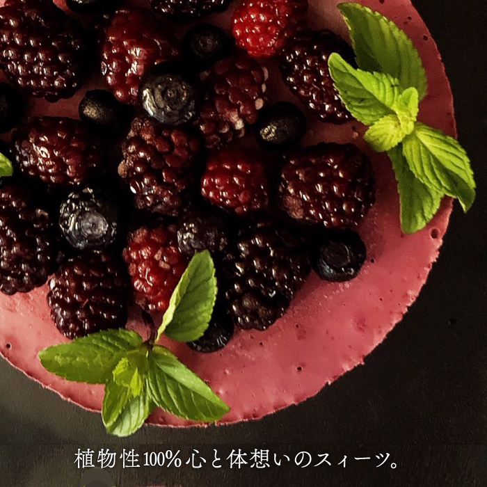 植物性100％ Vegan Raw Cake Double berry（ブルーベリー＆ブラックベリー/Mサイズ）お砂糖・小麦粉・乳製品不使用のスイーツ ヴィーガンローケーキ 吉野ヶ里町/Dondonyokunaru [FCF054]