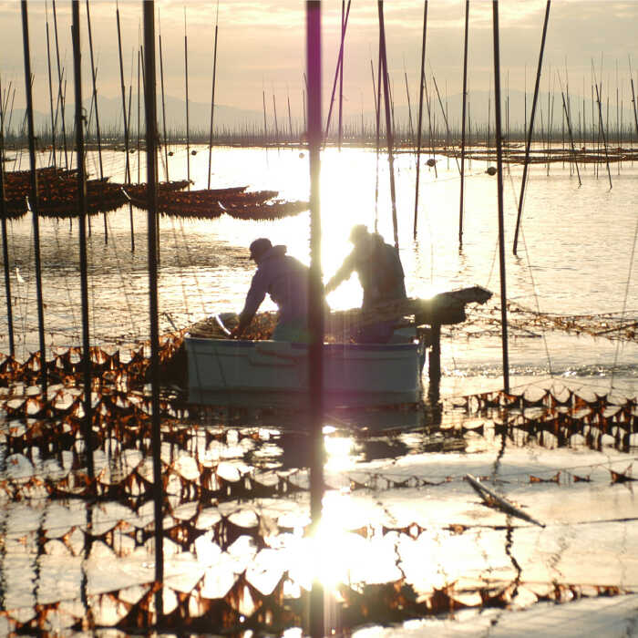 プレミアム佐賀海苔 味付け海苔 5袋詰(10切50枚) 株式会社サン海苔/吉野ヶ里町 [FBC021]