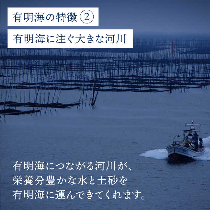 ＜12回定期便＞プレミアム佐賀海苔 味付け海苔 5袋詰（10切60枚×5） 株式会社サン海苔/吉野ヶ里町 [FBC024]