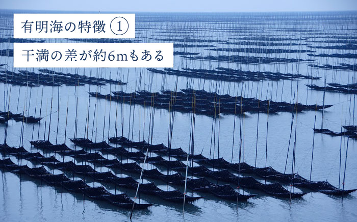 【焼きのり】佐賀海苔ボトル（10切40枚）2本セット 株式会社サン海苔/吉野ヶ里町 [FBC025]